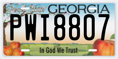GA license plate PWI8807