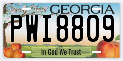 GA license plate PWI8809
