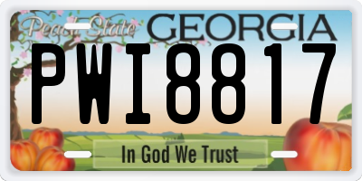 GA license plate PWI8817