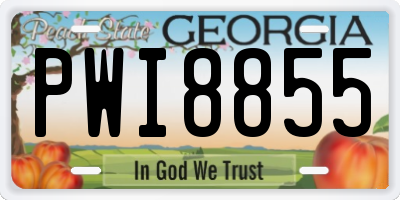 GA license plate PWI8855