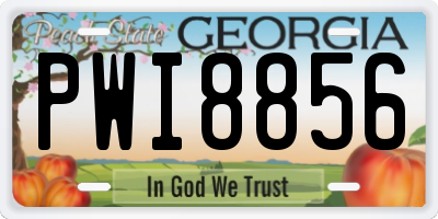 GA license plate PWI8856