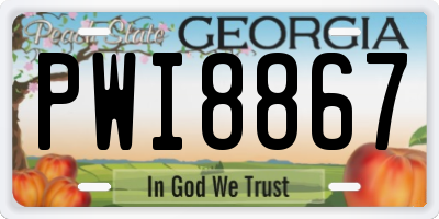 GA license plate PWI8867