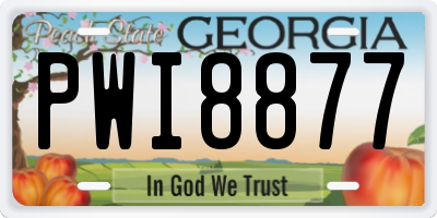 GA license plate PWI8877