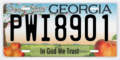 GA license plate PWI8901