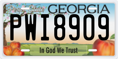 GA license plate PWI8909