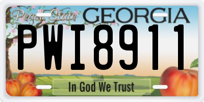 GA license plate PWI8911