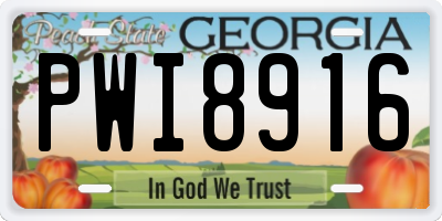 GA license plate PWI8916