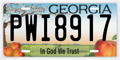 GA license plate PWI8917