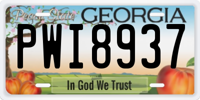 GA license plate PWI8937