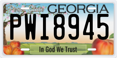 GA license plate PWI8945