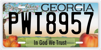 GA license plate PWI8957