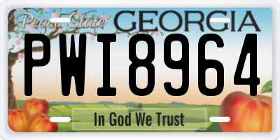 GA license plate PWI8964