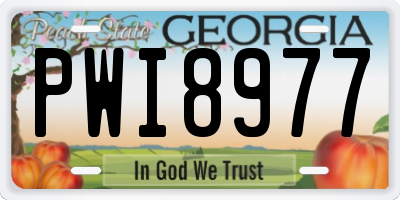 GA license plate PWI8977