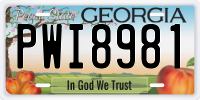 GA license plate PWI8981