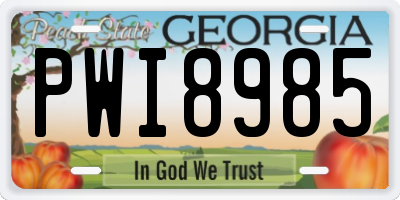 GA license plate PWI8985