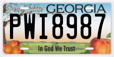 GA license plate PWI8987