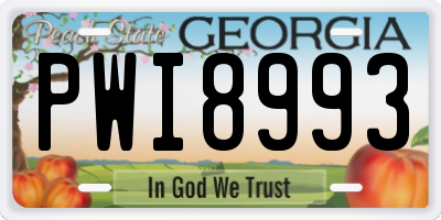 GA license plate PWI8993