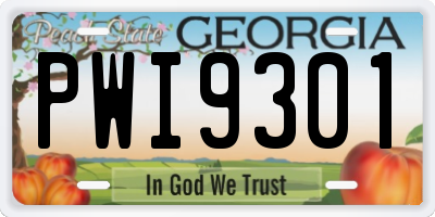 GA license plate PWI9301
