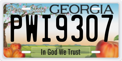 GA license plate PWI9307