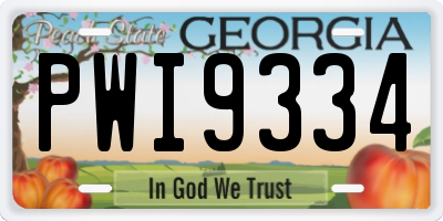 GA license plate PWI9334