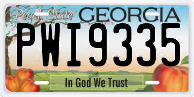 GA license plate PWI9335