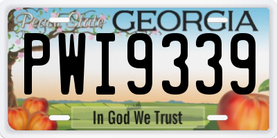 GA license plate PWI9339