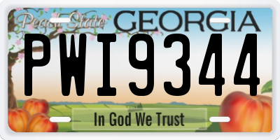 GA license plate PWI9344