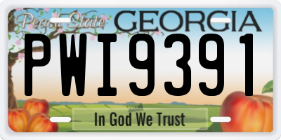 GA license plate PWI9391