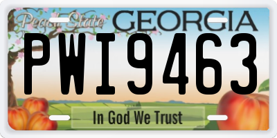 GA license plate PWI9463