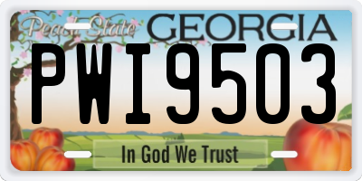 GA license plate PWI9503