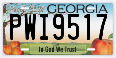 GA license plate PWI9517