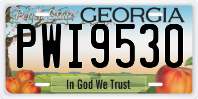 GA license plate PWI9530