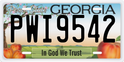 GA license plate PWI9542