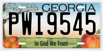 GA license plate PWI9545