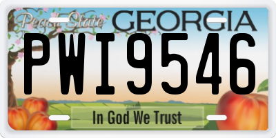 GA license plate PWI9546