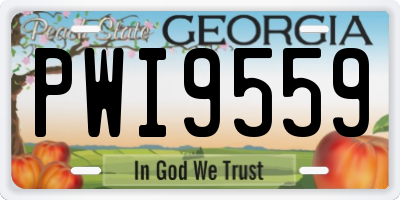 GA license plate PWI9559