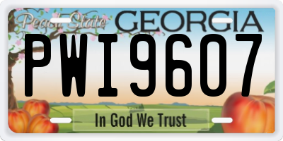 GA license plate PWI9607