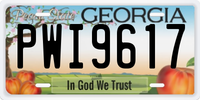 GA license plate PWI9617