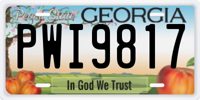 GA license plate PWI9817