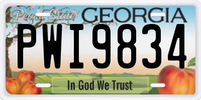 GA license plate PWI9834