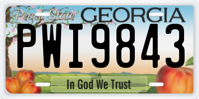 GA license plate PWI9843