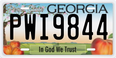 GA license plate PWI9844