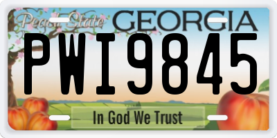 GA license plate PWI9845