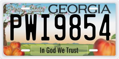 GA license plate PWI9854