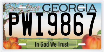GA license plate PWI9867