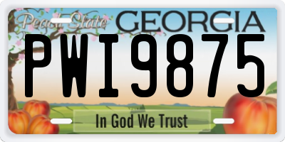 GA license plate PWI9875