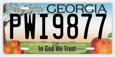 GA license plate PWI9877
