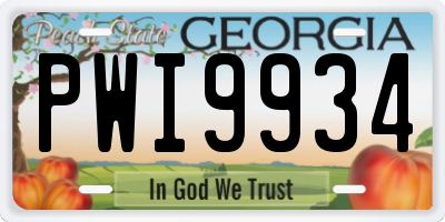 GA license plate PWI9934