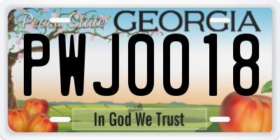 GA license plate PWJ0018