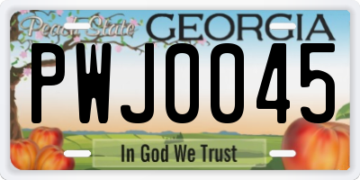 GA license plate PWJ0045